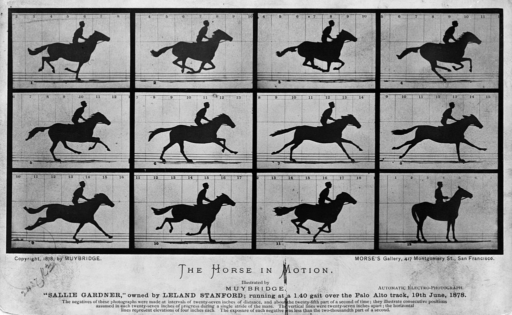 “Sallie Gardner,” owned by Leland Stanford; ridden by G. Domm, running at a 1:40 gait over the Palo Alto track, 19th June 1878.