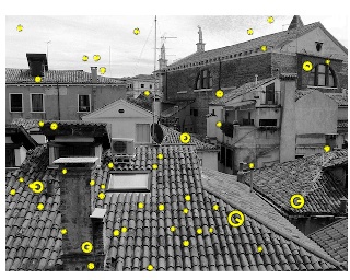 Keypoints, scale and orientation
