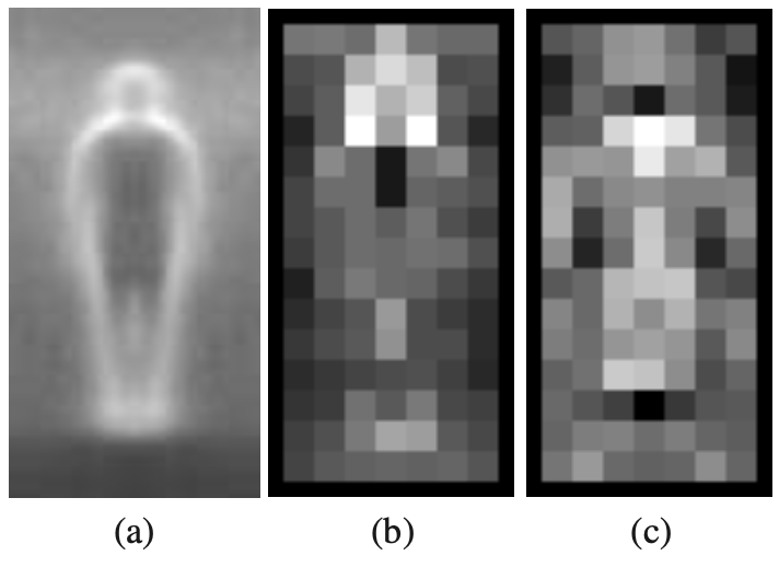 mean gradients and SVM weights